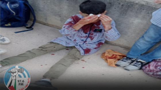 شهيد واصابة طلبة في قصف مسيرة إسرائيلية مركبة مدنية جنوب لبنان