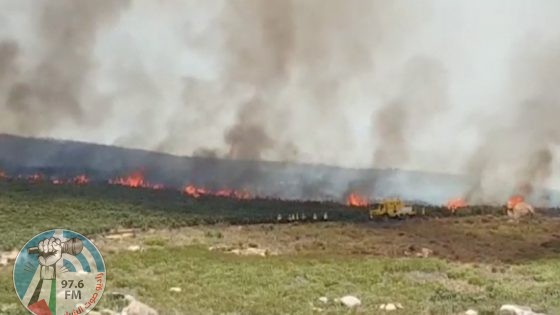 مستوطنون يحرقون 15 دونما من محصول القمح في سبسطية شمال غرب نابلس